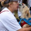 dog walk 2013-5173